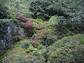 Natur 0159